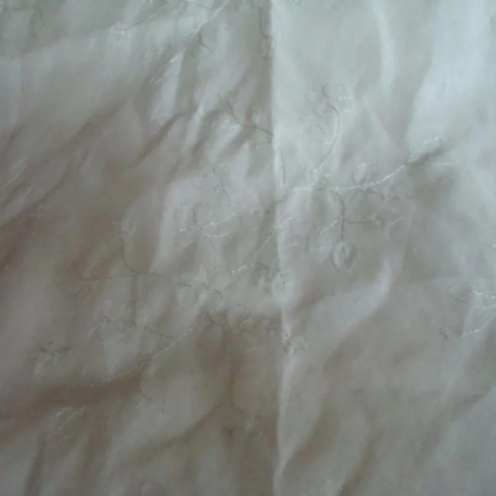 NWOT SET OF 2 SHEER CURTAIN PANELS W/NEEDLE EMBROIDERY